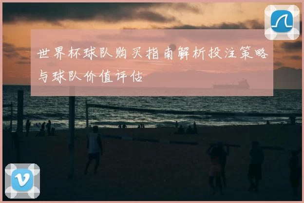 世界杯球队购买指南解析投注策略与球队价值评估