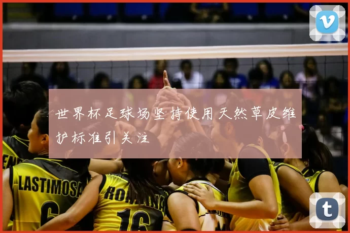 世界杯足球场坚持使用天然草皮维护标准引关注