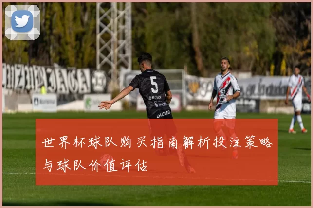 世界杯球队购买指南解析投注策略与球队价值评估