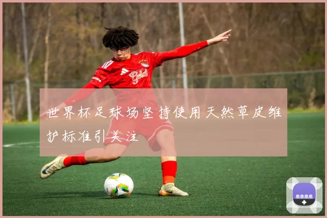 世界杯足球场坚持使用天然草皮维护标准引关注