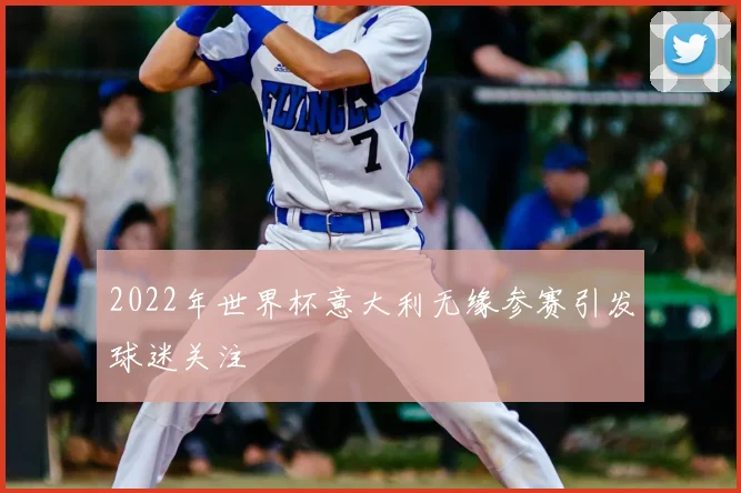 2022年世界杯意大利无缘参赛引发球迷关注