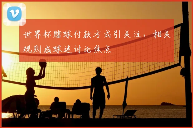 世界杯赌球付款方式引关注,相关规则成球迷讨论焦点