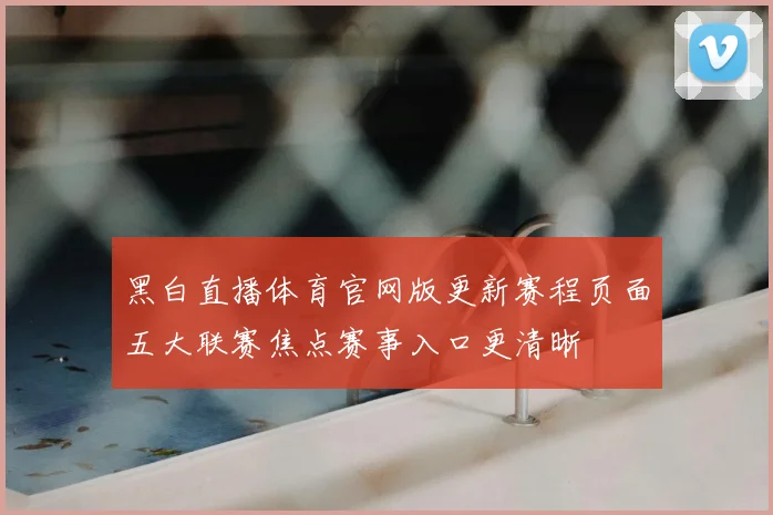 黑白直播体育官网版更新赛程页面五大联赛焦点赛事入口更清晰