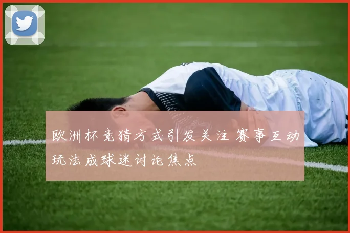 欧洲杯竞猜方式引发关注 赛事互动玩法成球迷讨论焦点